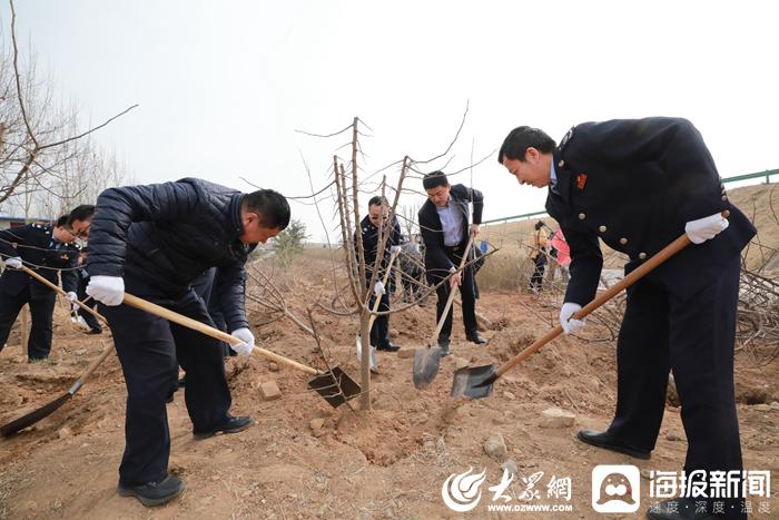 济南平阴最新新闻,济南平阴最新新闻报道