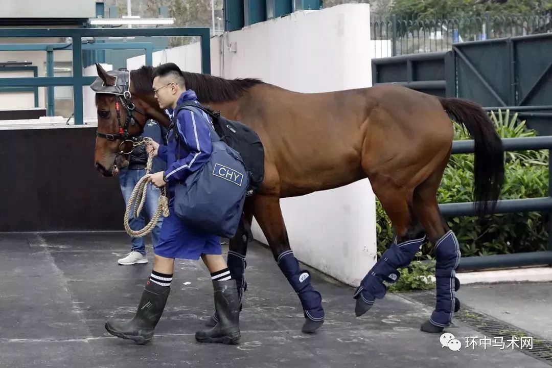 香港马买马网站www,香港马买马网站——探索赛马世界的门户