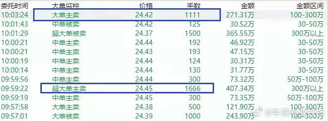 枣红 第5页