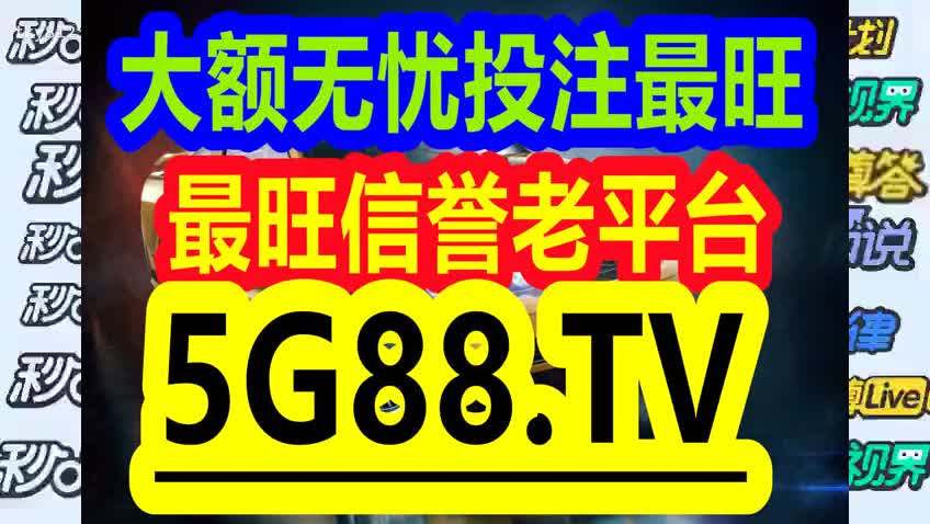 管家婆一码中一肖2024年,管家婆一码中一肖，揭秘生肖预测与未来之探，2024年的神秘面纱揭晓