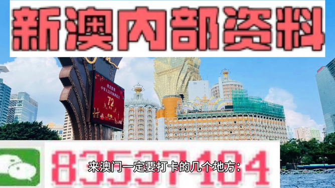 2024新澳免费资料澳门钱庄,探索澳门钱庄，新澳免费资料的深度解读（2024年视角）