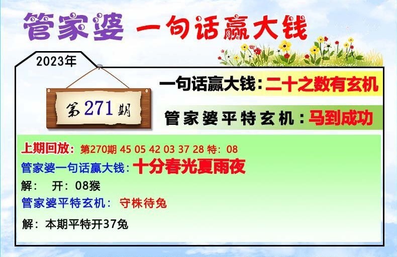 202管家婆一肖一码,揭秘202管家婆一肖一码，背后的秘密与真相