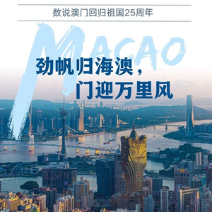 2025澳门精准正版图库,澳门正版图库，探索未来的视觉盛宴（2025年展望）